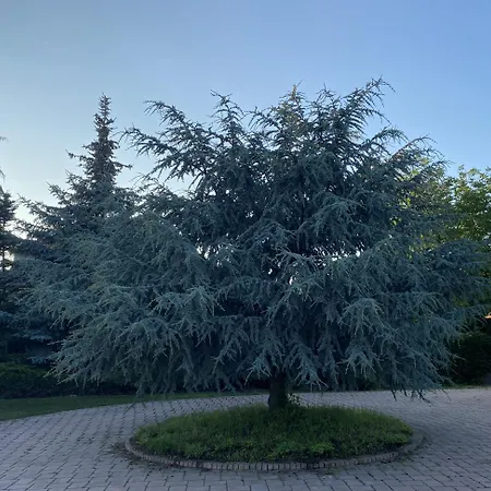 Prázdninový dům La Maison De Notre Reve